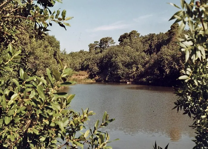 Abbaye De Capservy Bed and Breakfast Villardonnel